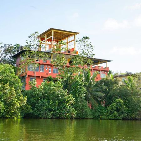 Hotel Madu River Edge à Balapitiya Extérieur photo