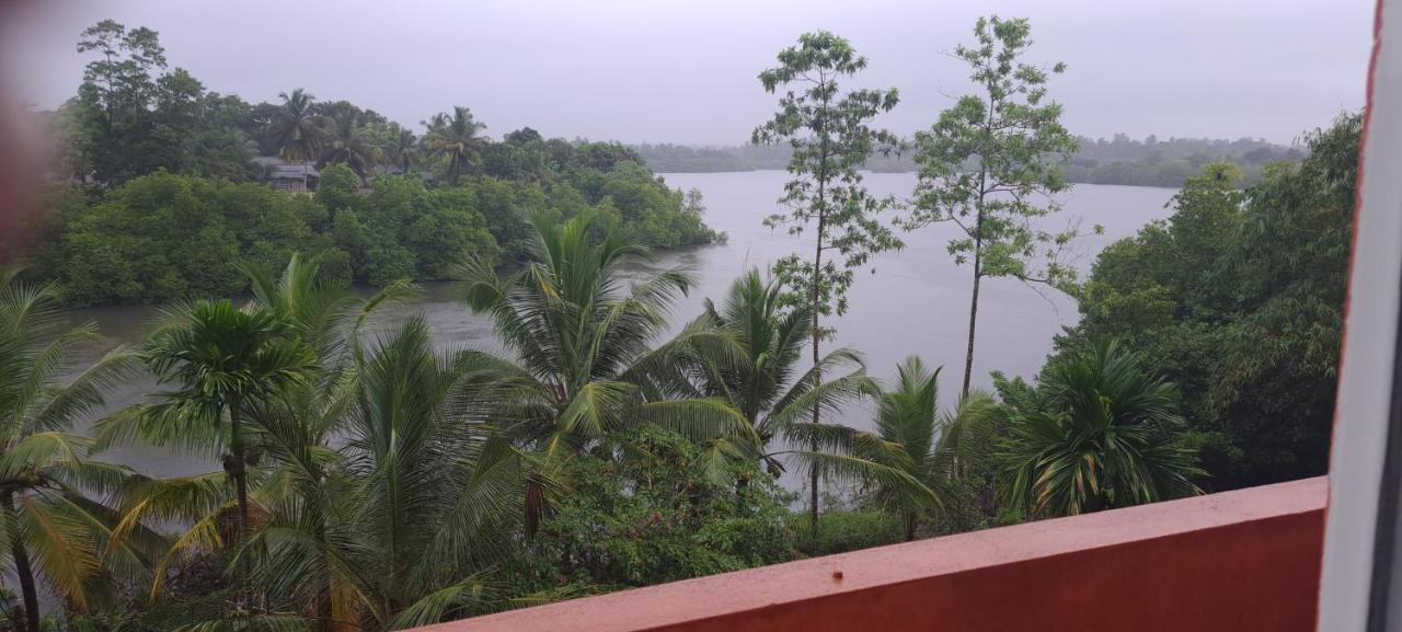 Hotel Madu River Edge à Balapitiya Extérieur photo
